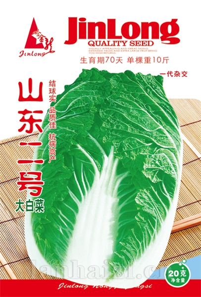 山东2号