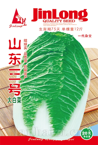山东3号