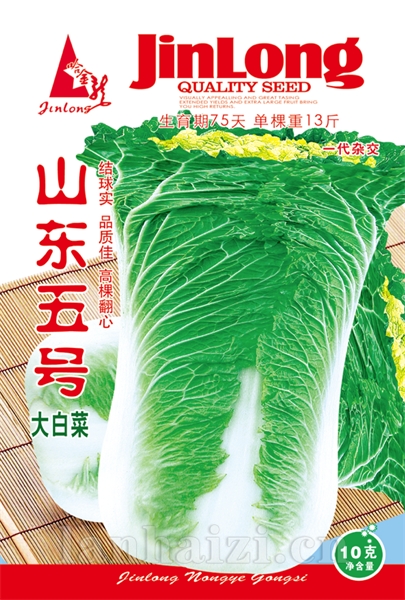 山东5号