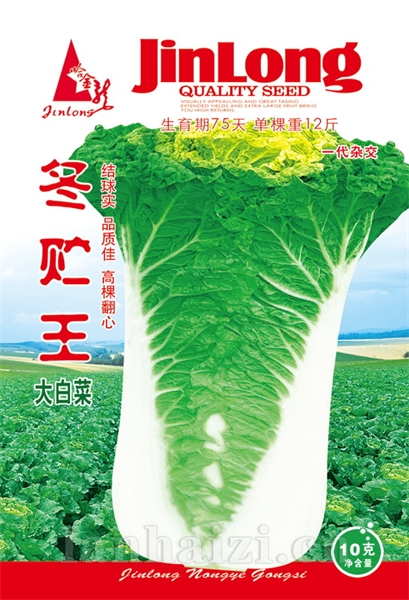 冬贮王