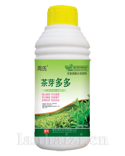   茶芽多多