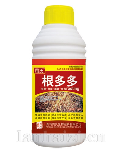 根多多