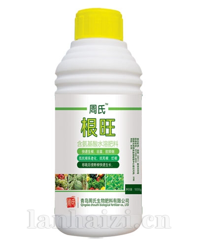 根旺