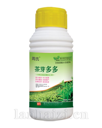 茶芽多多