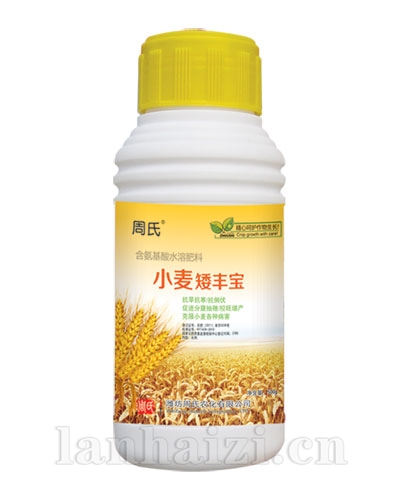  小麦矮丰宝