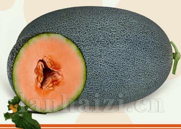 供应杂交伽师瓜三号—甜瓜种子
