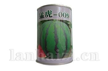 猛虎—009