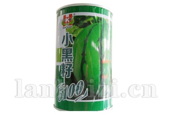 小黑籽5100