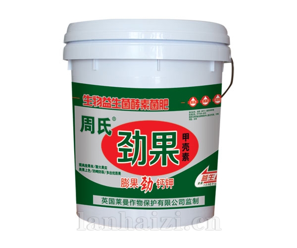 劲果