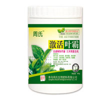  激活叶霸