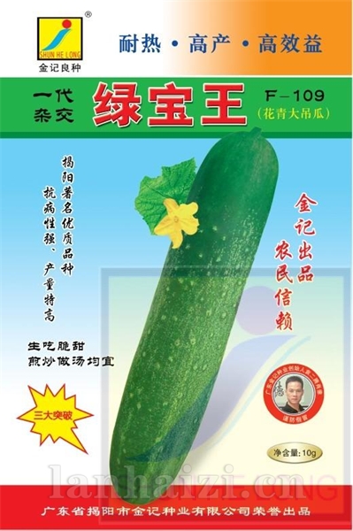 吊瓜种子-绿宝王大吊瓜种子F-109金记种业