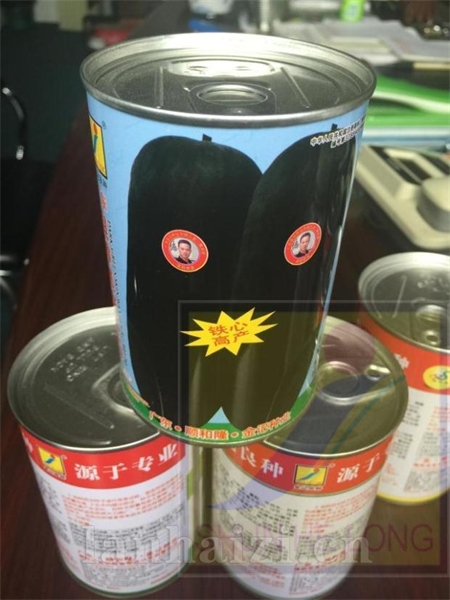 铁心冬瓜 广东良种冬瓜种子99-1-50