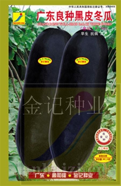 铁心冬瓜冬瓜种子-广东良种黑皮冬瓜种子F-50 瓜型炮弹型