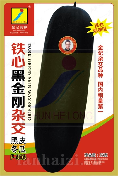 铁心冬瓜冬瓜种子-金记铁心黑金刚杂交黑皮冬瓜F-303 金记种业