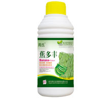 蕉多丰