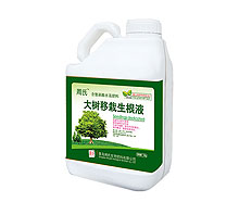  大树移栽生根液