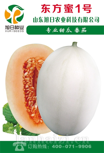 东方蜜1号