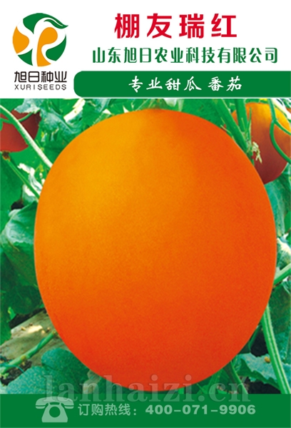 棚友瑞红