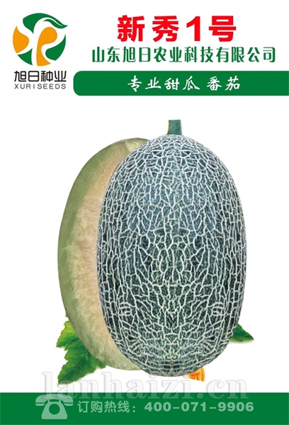 新秀1号