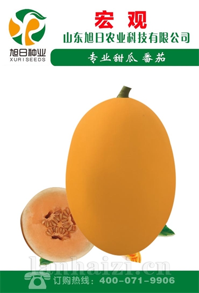 宏观