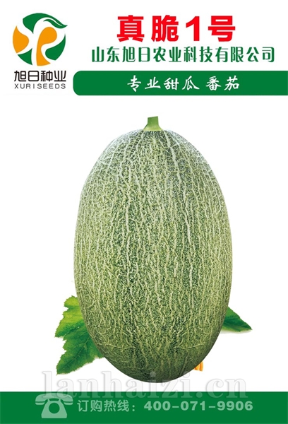 真脆1号