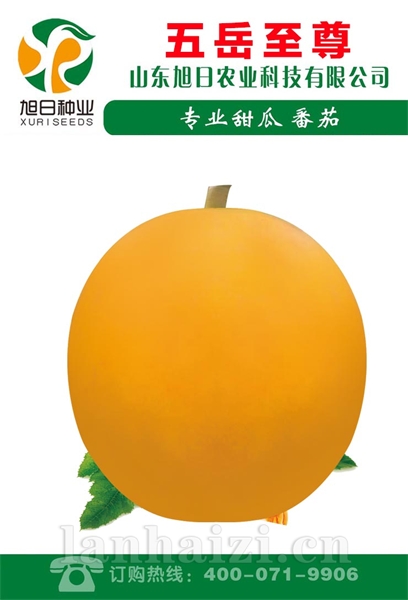 岳至尊