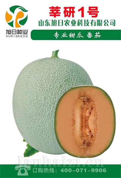 莘研1号