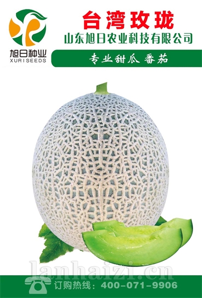 台湾玫珑