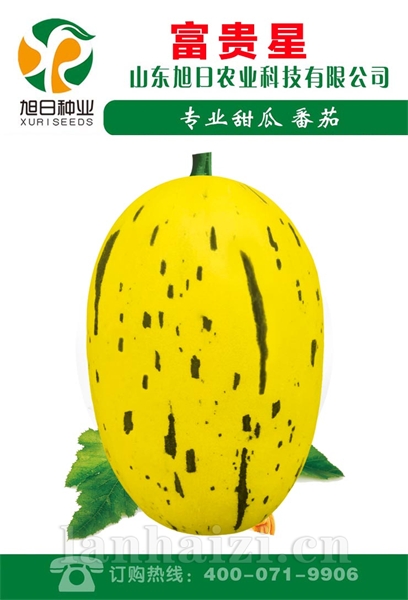 富贵星
