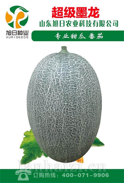 超级墨龙