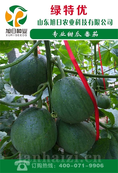 绿特优