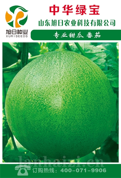 中华绿宝