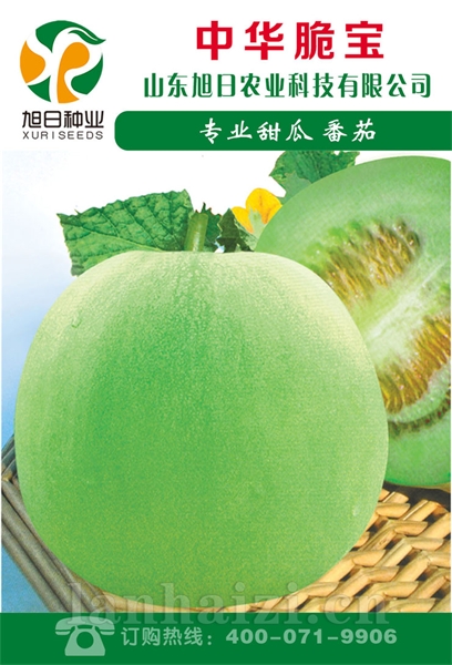 中华脆宝