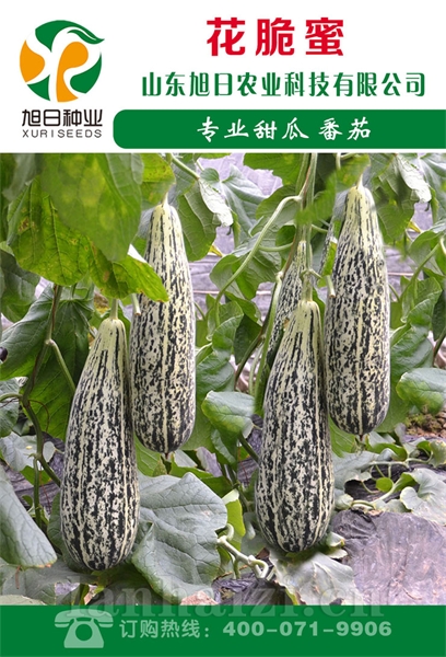 花脆蜜