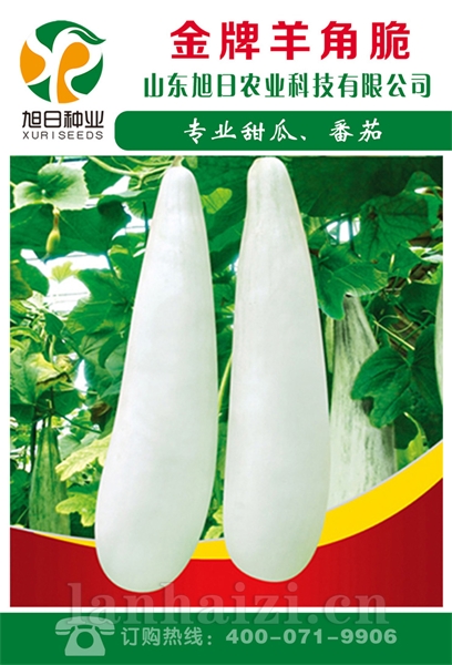 金牌羊角脆