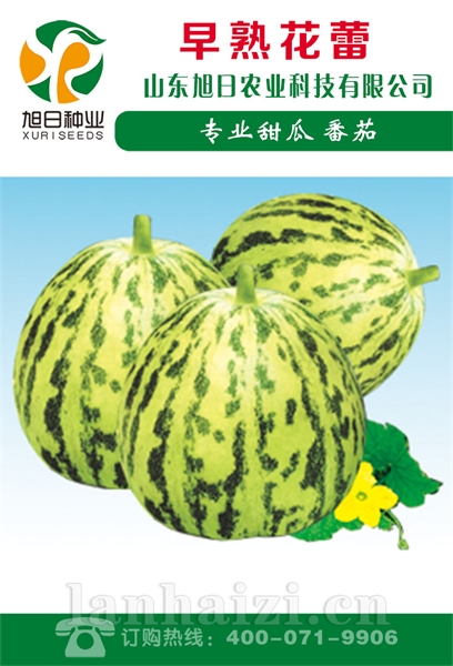 早熟花蕾