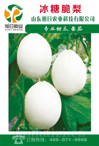 冰糖脆梨