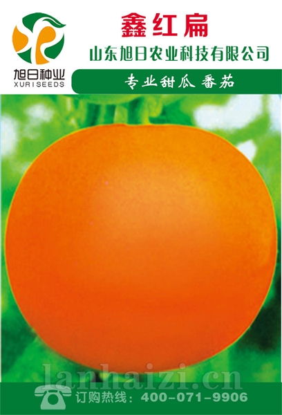 鑫红扁
