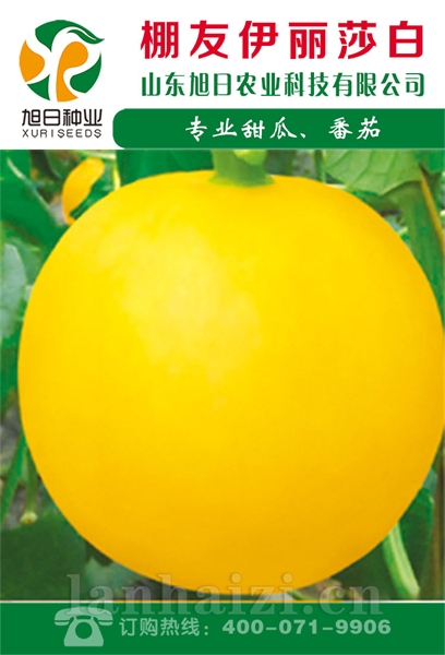 棚优伊丽莎白
