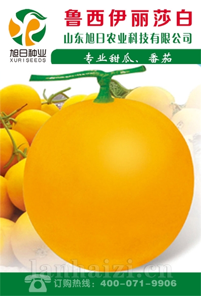 鲁西伊丽莎白