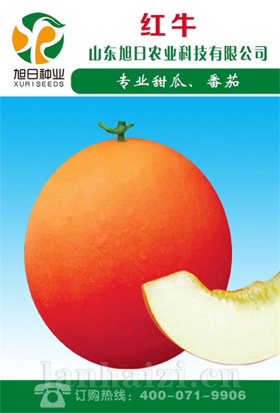 红牛
