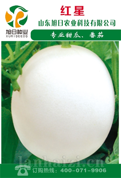 红星