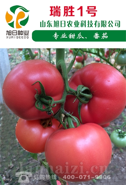 瑞胜Ⅰ号