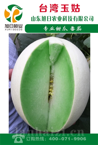 台湾玉姑