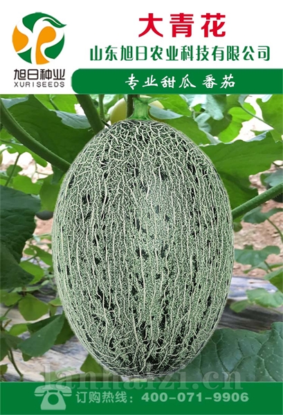 大青花