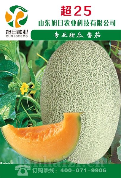 超25