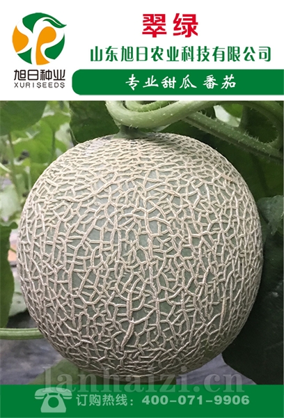 翠绿