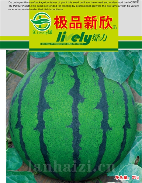 供应极品新欣—西瓜种子