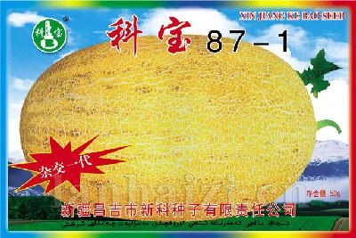 科宝87-1——哈密瓜种子