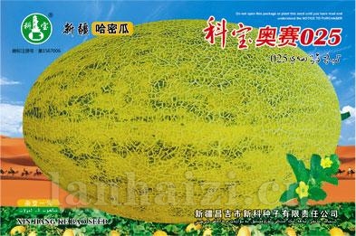 科宝奥赛025——哈密瓜种子